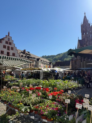 themenspaziergaenge